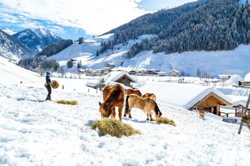 Familienhotel Oberkarteis 3