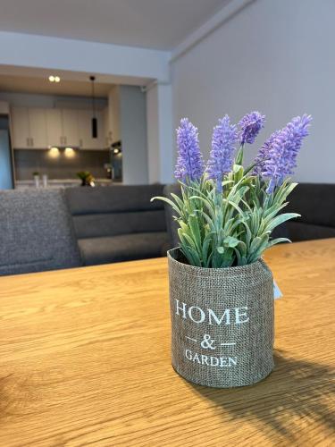 Cozy London Escape in 苏恰瓦