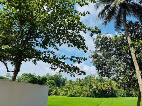 Villa Coconut Tree - image 3