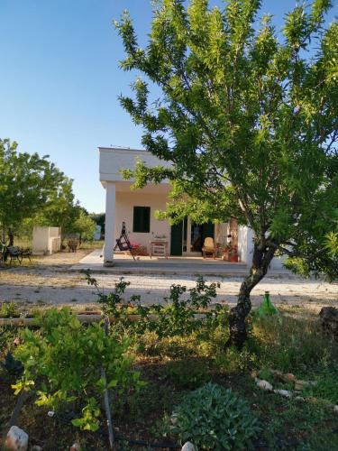 Villa Primavera, con uso di piscina
