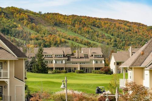 Sunny Days - Steps to Blue Mtn - Hot Tub & Shuttle in The Blue Mountains (ON)
