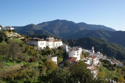 設施, 雅丁德維瑟卡薩斯鄉村民宿 (Casas Rurales Jardines del Visir) in 赫納爾古亞西爾