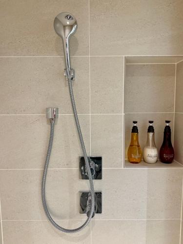 Vive Boutique Hotel - Echoland