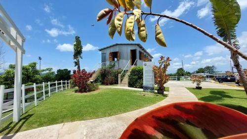 Tropical Studio Boutique - Cerca de Gozalandia in San Sebastian