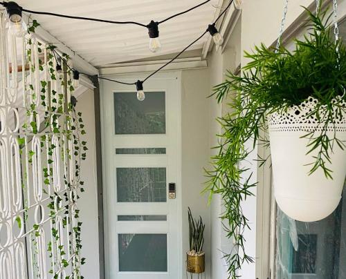 Tropical Studio Boutique - Cerca de Gozalandia in San Sebastian