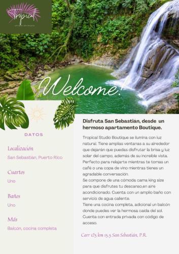 Tropical Studio Boutique - Cerca de Gozalandia - image 4