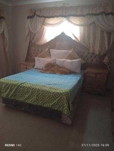 Lushaba's modern bliss in Bhobhoyi