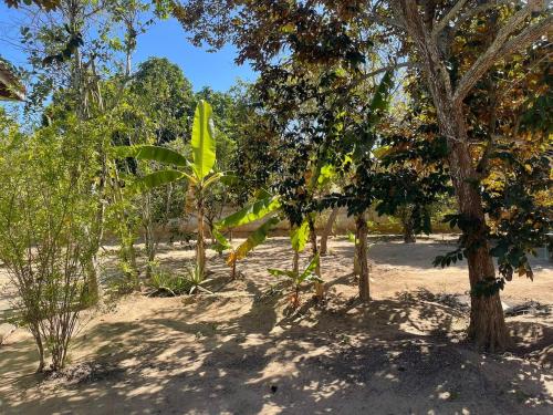 Sitio do Piquira in São Francisco De Itabapoana