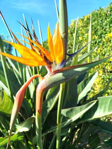 Chambres d'Hôtes La Casa Losa chambre d'hôte Fonte