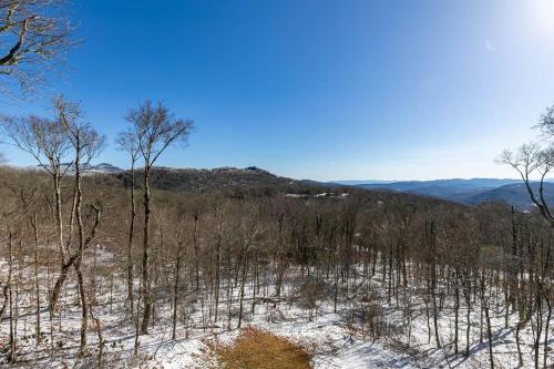 Buckhorn Lodge in Sugar Mountain, USA