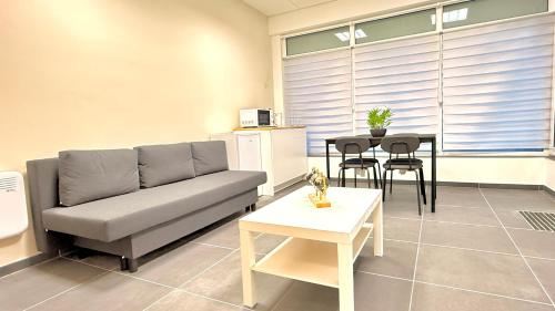 Orléan 41 A centre-gare-aéroport - Location saisonnière - Charleroi