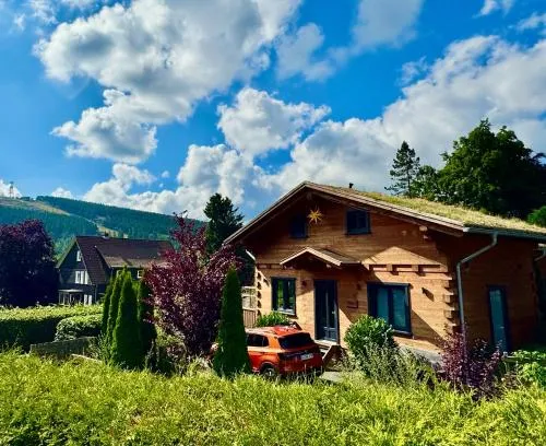Harz - Blockhaus, 4 und 5 Sterne Blockhäuser, Sauna und Kamin, RH in Hahnenklee-Bockswiese, Deutschland