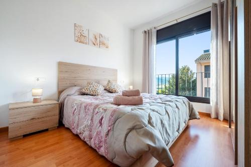 Apartamentos de Miguel