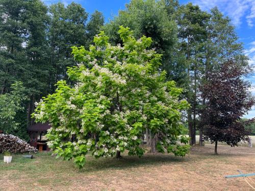 Agroturystyka-wypoczynek - Debica Agroturystyka-wypoczynek - Debica