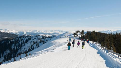  Apartments Köhlbichler, 5752 Viehhofen