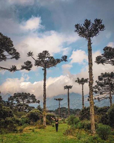 Terras Do Sul – Urubici