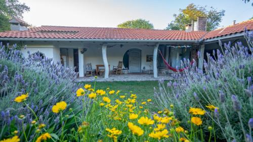 Cosmoqui Casa Boutique