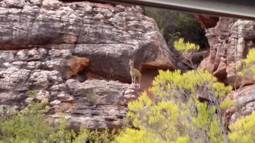 Kleinfontein Kleinfontein