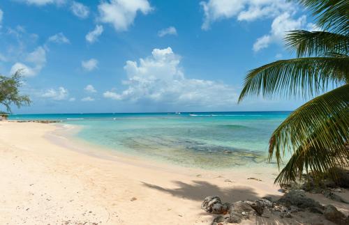 Walk to Mullins Beach Ground Floor Pool Fast WiFi in Little Battaleys