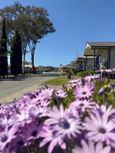 Eaglehawk Park Canberra
