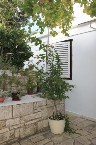 Apartments with WiFi Korcula - 9278 - image 6