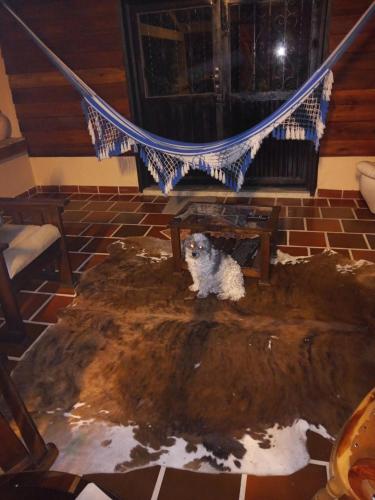 Paz y Tranquilidad in Marsella