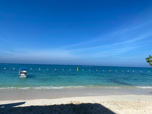 Amora Beach Camping