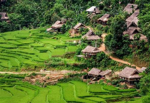 Homestay bên bờ suối - image 4