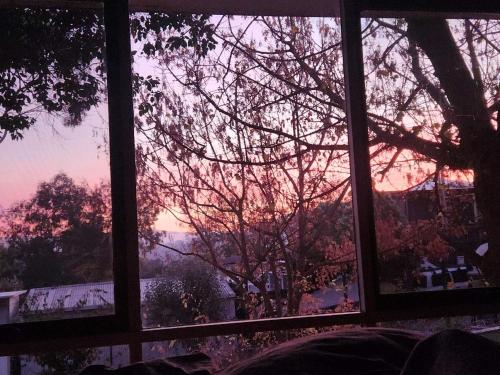 My Sweet Bonnie in Bonnie Doon