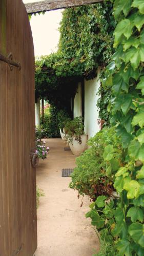 A Hotelcom Leeuwenbosch Shearers Lodge Amakhala Game - 