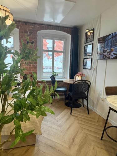Apartament na Starym Mieście Lisowskiego (Apartament na Starym Miescie Lisowskiego) in Zielona Gora