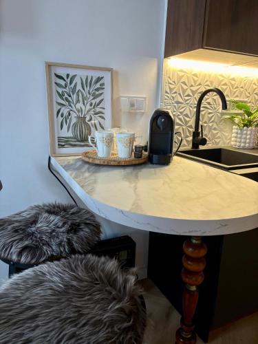 Apartament na Starym Mieście Lisowskiego (Apartament na Starym Miescie Lisowskiego) in Zielona Gora