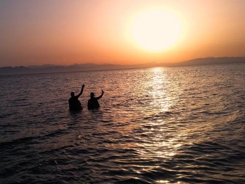 Dive Urge – Dahab