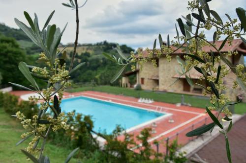 Agriturismo Isola Verde