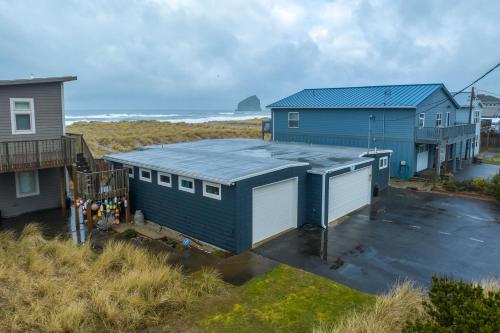Sea Lion Crossing - image 8