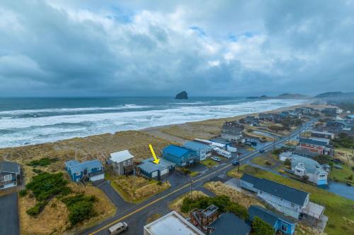 Sea Lion Crossing - image 13
