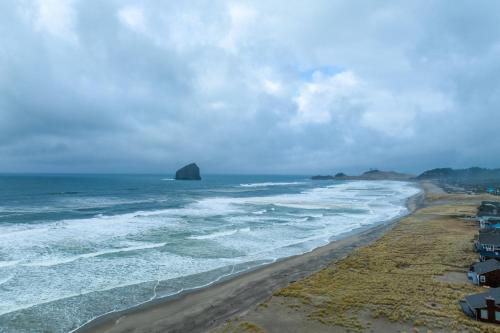 Sea Lion Crossing - image 7