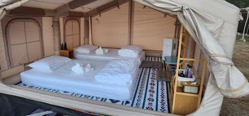 Phu Pha Na Lay Cafe'n Camping