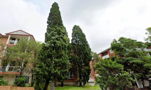 JLs Bondi Escape - Walk to beach and Shopping - main image