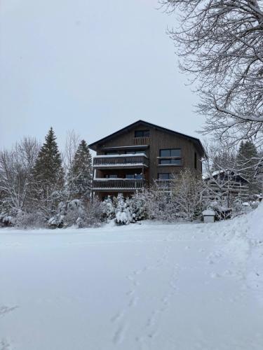 Chalet Alte Post in Schwarzsee