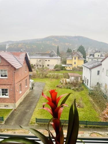 Apkārtne, Fenix Haus in Neustadt Bei Coburg