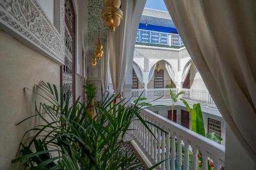 Riad les palmiers de la medina - main image