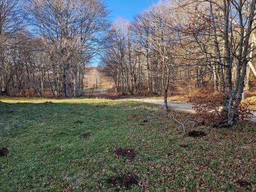 Le Chalet de l Abeille in Laguiole