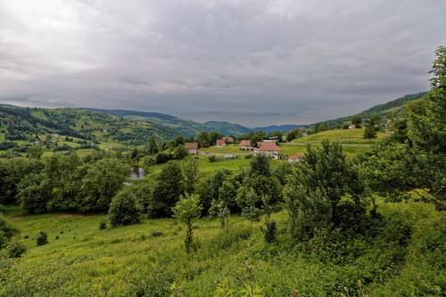 Équipements, Gîte Edelweiss (Gite Edelweiss) in La Bresse