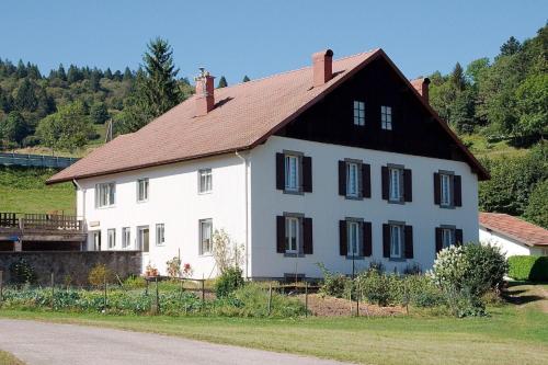 Équipements, Gîte Edelweiss (Gite Edelweiss) in La Bresse