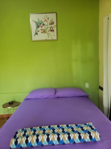 Arenal Hostel La Catarata, Fortuna (photo 3)