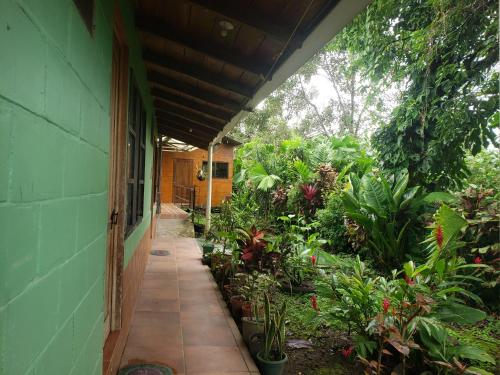 Arenal Hostel La Catarata, Fortuna (photo 5)