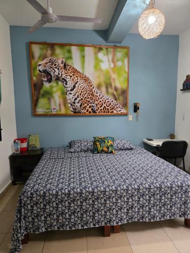 LoftJaguar, Palenque
