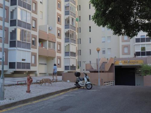 Bright Apartment in Campo Grande Lisbon #private parking - image 13