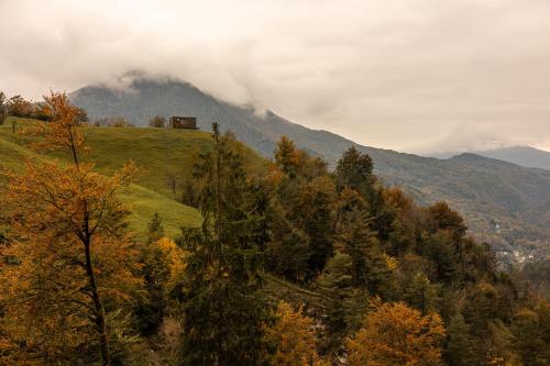 Rallentare tra i colori della valle dell'Arzino in Vito dʼAsio